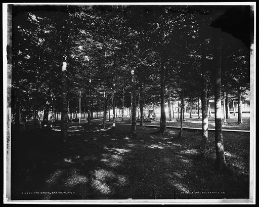 Grove, Bay View, Mich., The