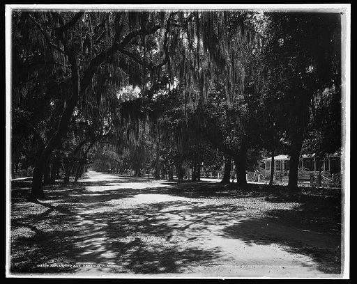 Ridgewood Ave., Daytona, Fla.