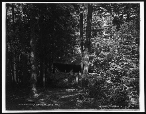 Alligator Head near South Lake, Catskill Mountains, N.Y.