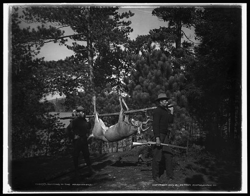 Hunting in the Adirondacks