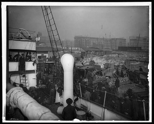 Baltimore, Maryland, unloading banana steamer