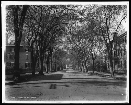 Chestnut St., Salem, Mass.