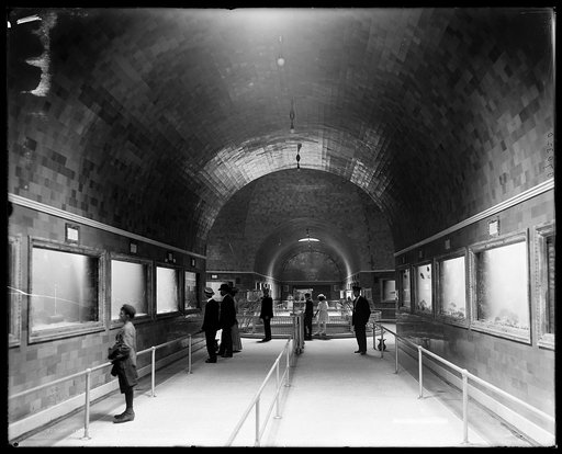 Interior of aquarium, Belle Isle, Detroit, Mich.