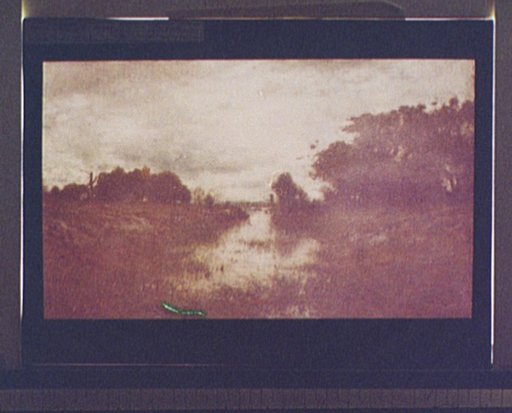 Looking toward the sea