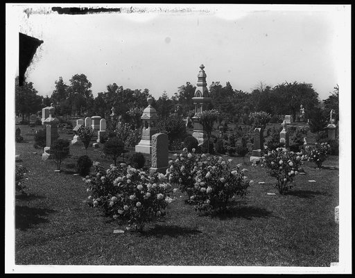 Cemetery