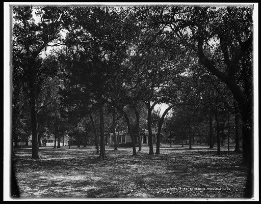 Pavilion behind trees, possibly Southern States