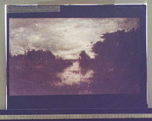 Looking toward the sea