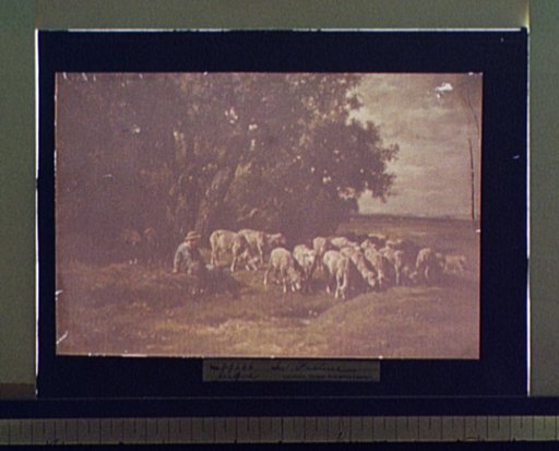 In pasture