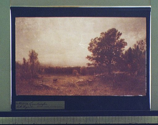 Landscape