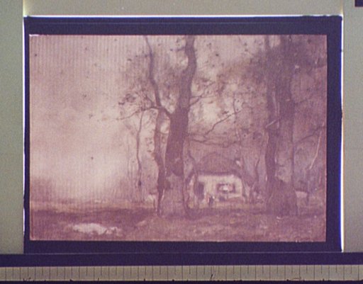 Lodge in the woods