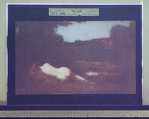 Nymph