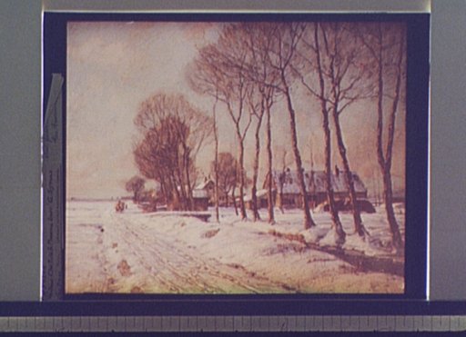 Snow clad fields in morning light