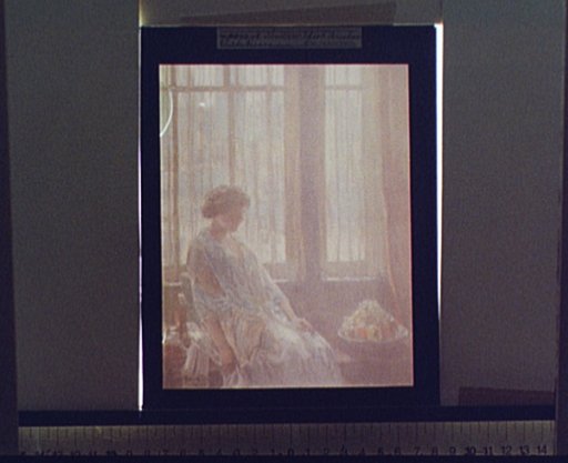The New York window