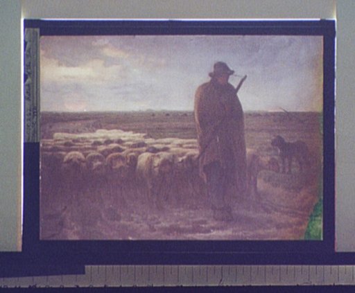 Return of the flock