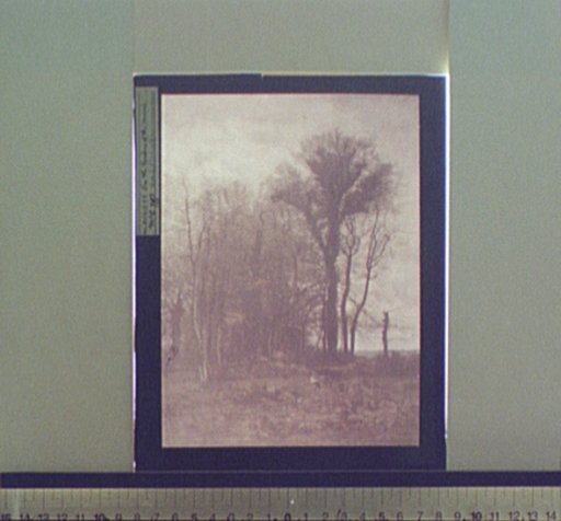 On the borders of the marsh