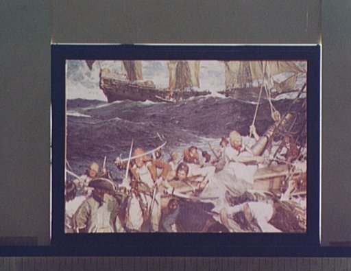 The buccaneers