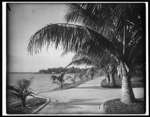 Palm Beach