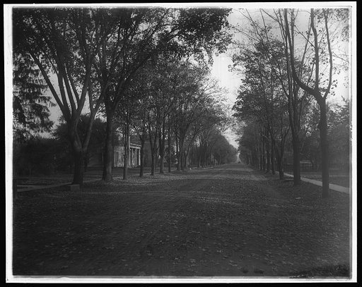 Elizabeth Street, Dansville, N.Y.