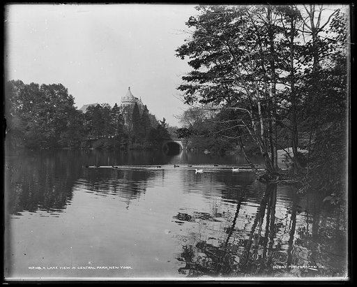 A Lake view in Central Park, New York