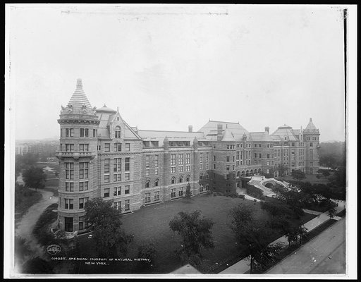 American Museum of Natural History, New York