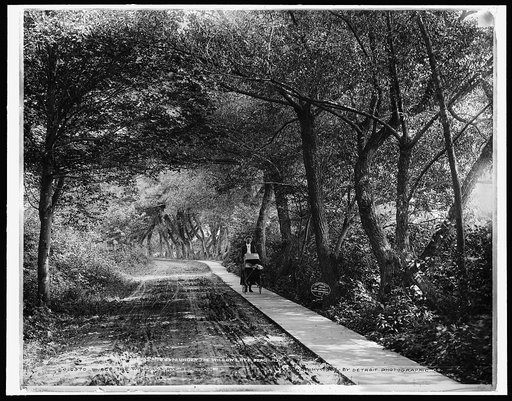 Under the willows, Rye Beach, N.H.