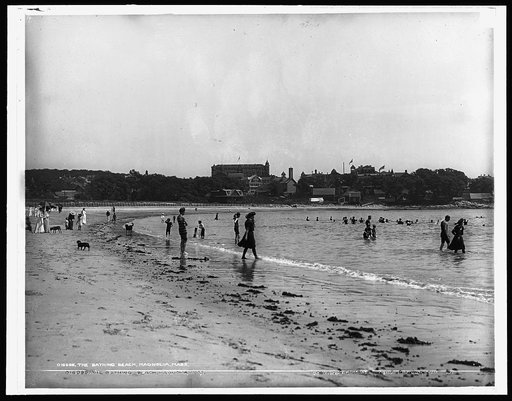 The Bathing beach, Magnolia, Mass.