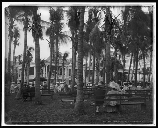 Afternoon concert hour, Royal Poinciana, Palm Beach, Fla.