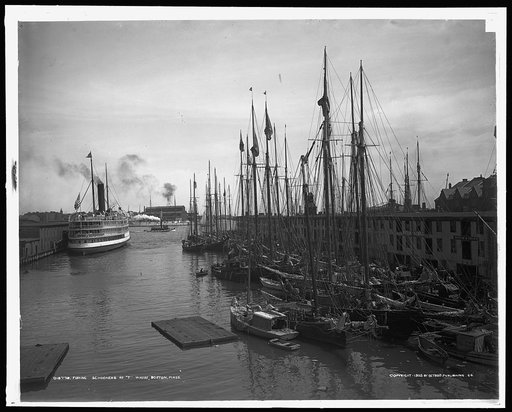 Schooners at "T" wharf, Boston, Mass.