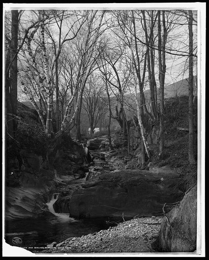 Rocks and birches, Berkshire Hills, Mass.