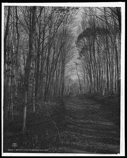 A Roadway in autumn, Berkshire Hills, Mass.