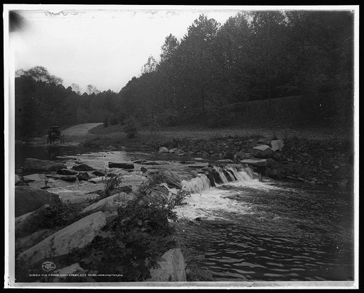 Rock Creek, Zoo park [National Zoological Park], Washington, D.C.