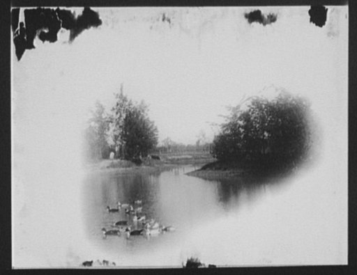 Palmer Park lake, Detroit the beautiful