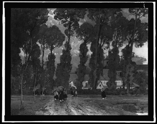 Women with umbrellas walking and trees in background