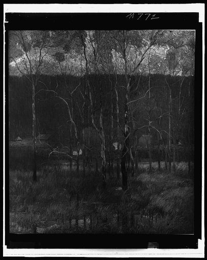 Marsh in woods with buildings in distance