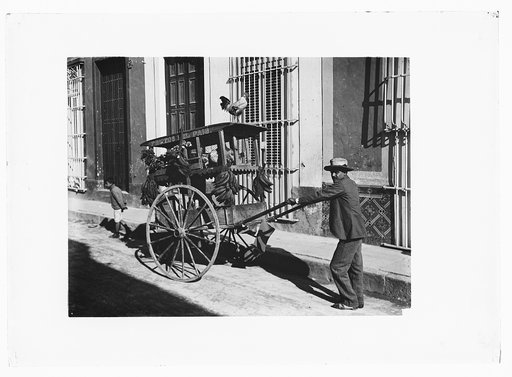 Fruit and poultry vendor