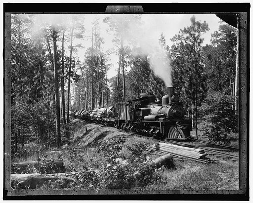 Log train