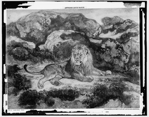 Lion reclining