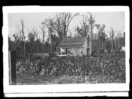Home of the cotton picker