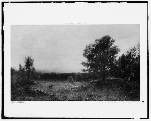 Landscape