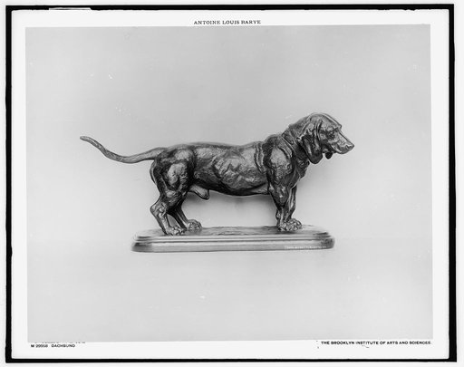 Dachsund [sic