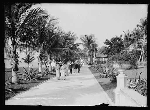 In the grounds of the Royal Poinciana, Palm Beach, Fla.