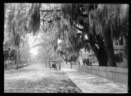 Sumter Avenue, Summerville, S.C.