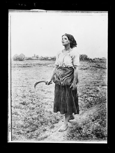 Song of the lark