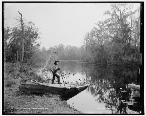 Rice Creek near Brown's [landing