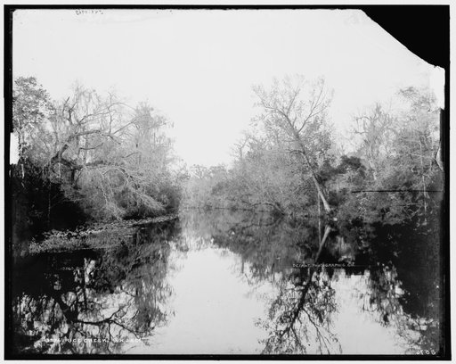 Rice Creek