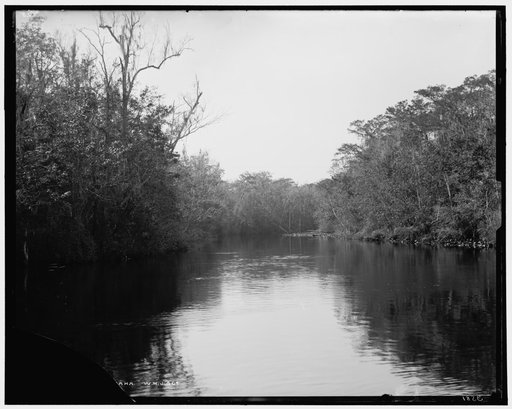 On the Ocklawaha (sic)