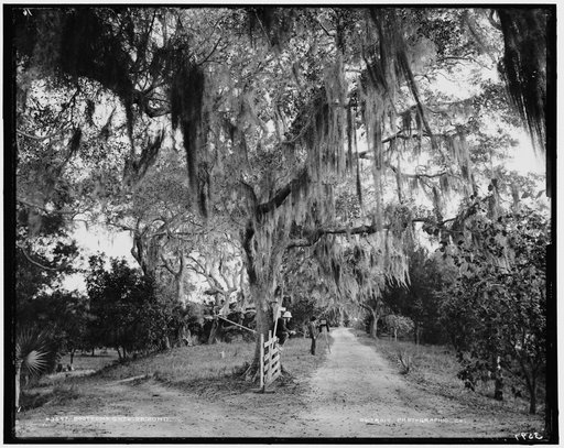 Bostrom's Gate, Ormond