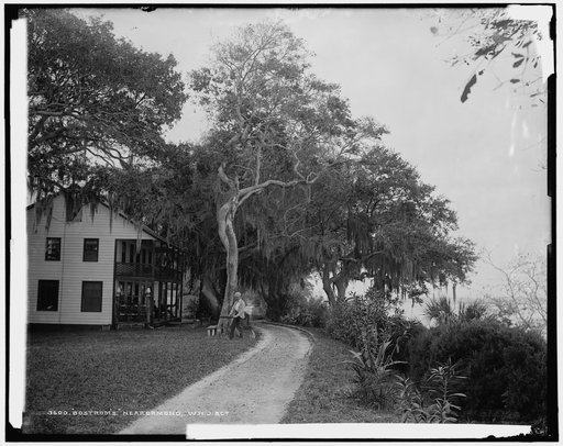 Bostrom's, near Ormond