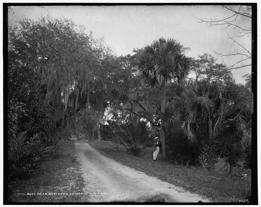 Near Bostrom's, Ormond