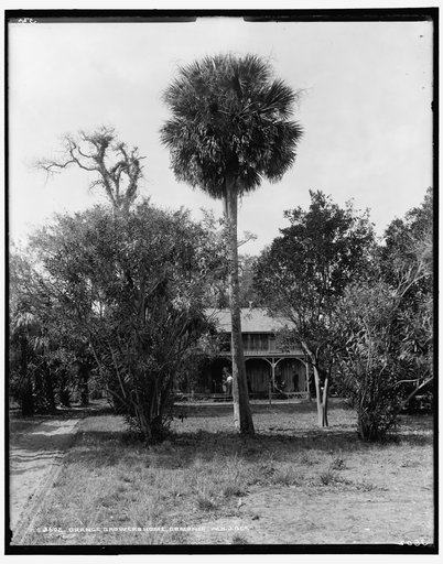 Orange grower's home, Ormond